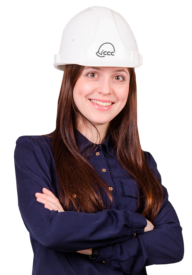 Profesional de ingeniería y construcción